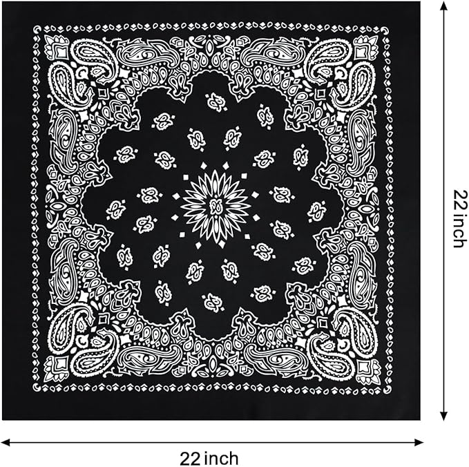 Paisley Handkerchief (set of 2)